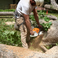 Essential Resources for Homeowners on Tree Management Techniques