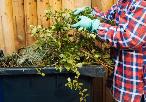 Essential Safety Precautions for Effective Tree Management