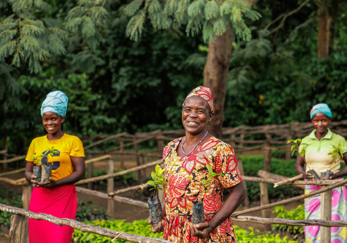 The Role of Community Involvement and Education in Effective Tree Management