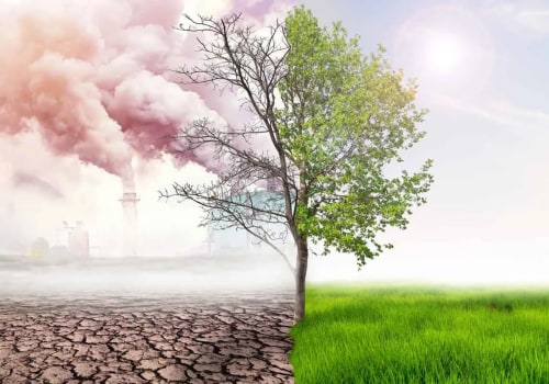 The Role of Tree Management in Mitigating Urban Noise and Air Pollution