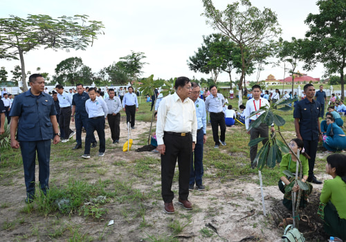 The Role of Tree Management in Environmental Conservation