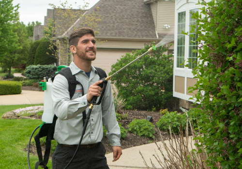 Avoiding Common Mistakes in Tree Management: A Guide for Homeowners and Professionals