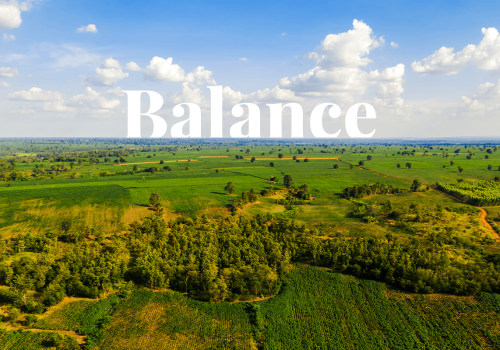 The Essential Role of Tree Management in Sustainable Land Management