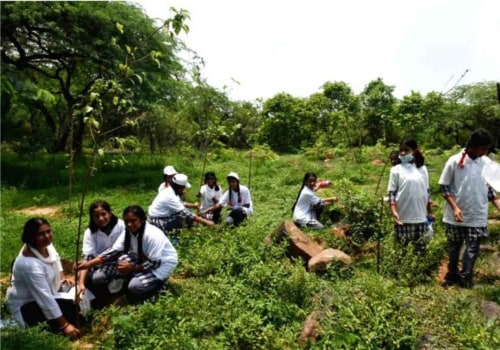 The Vital Role of Tree Management in Enhancing Community Health and Well-Being