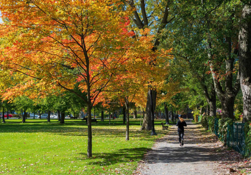 Essential Qualifications and Certifications for Choosing a Tree Management Company