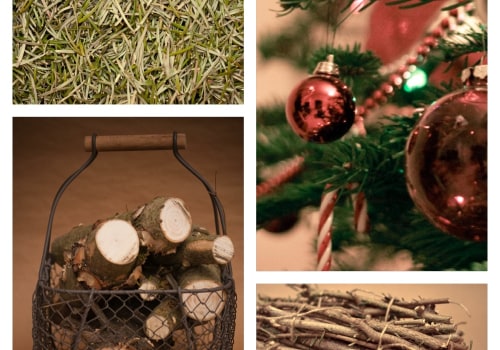 Innovative Ways to Recycle and Repurpose Trees from Tree Management